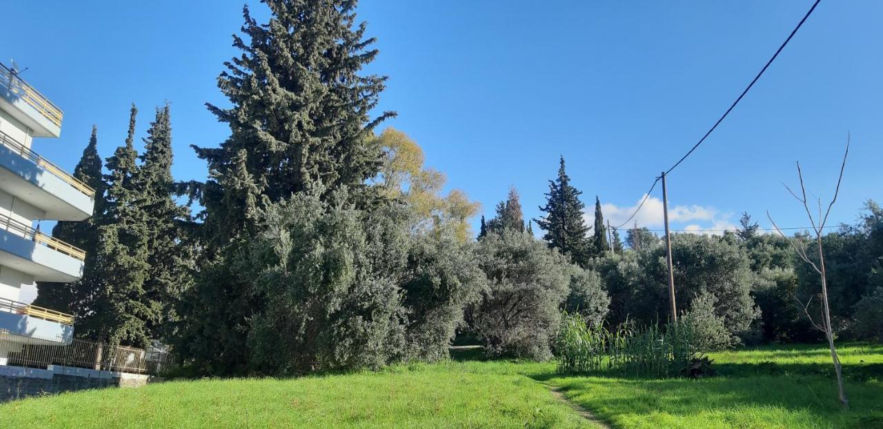 Όμορφο Studio Στην Πόλη Πάτρα Dış mekan fotoğraf